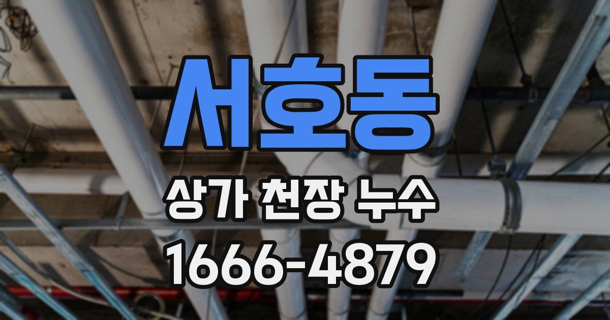 서호동 상가 천장 누수