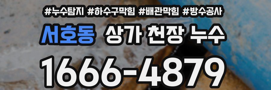 서호동 상가 천장 누수