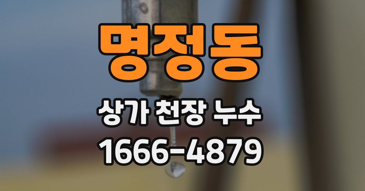 명정동 상가 천장 누수