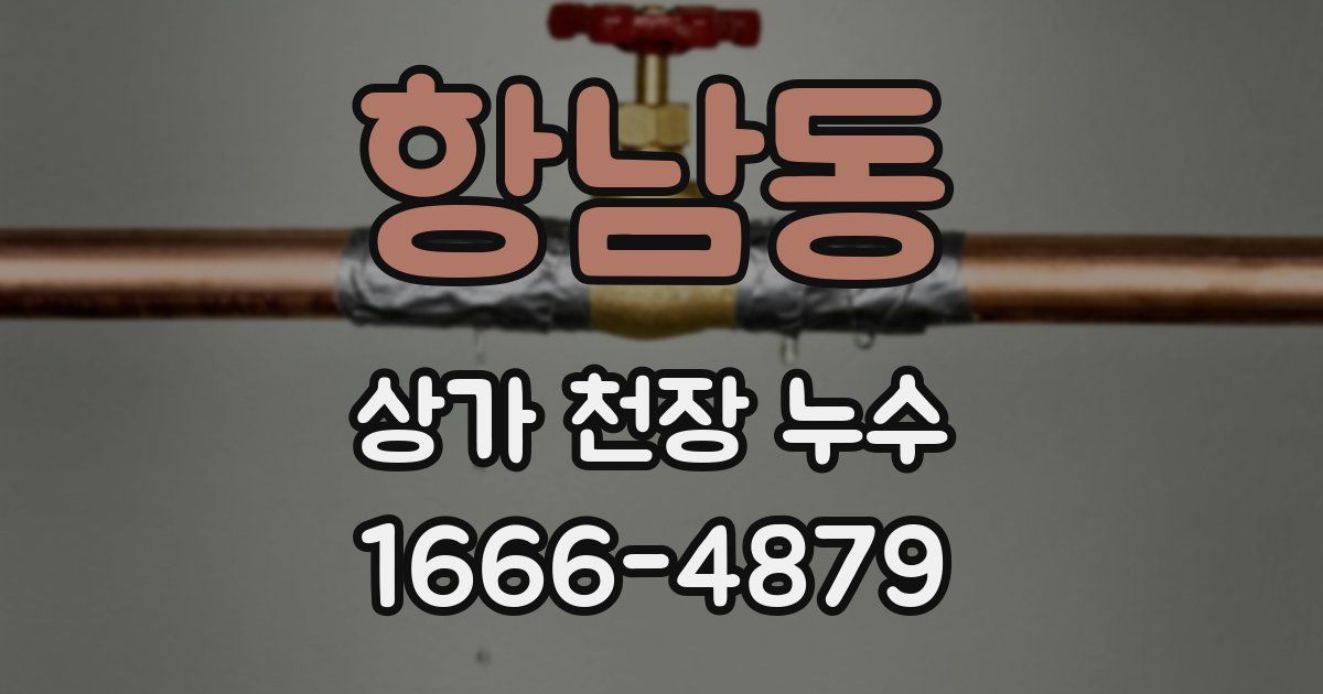 항남동 상가 천장 누수