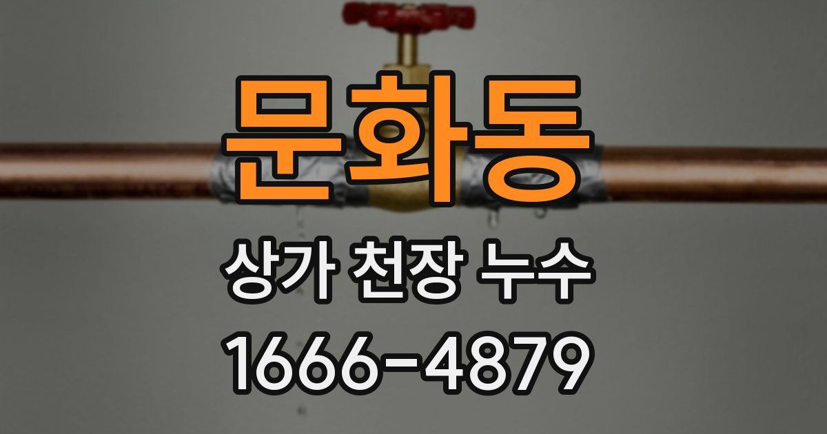 문화동 상가 천장 누수