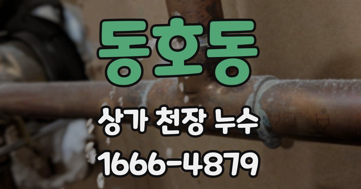 동호동 상가 천장 누수