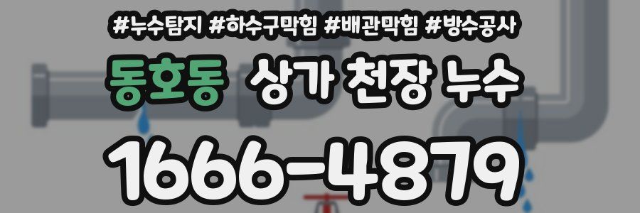 동호동 상가 천장 누수