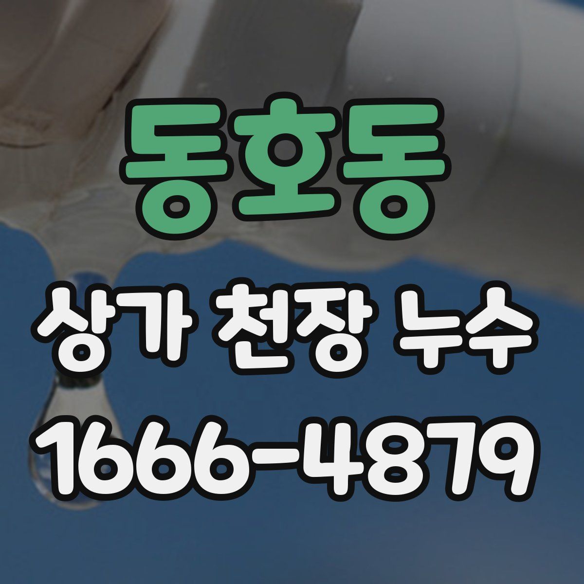 동호동 상가 천장 누수
