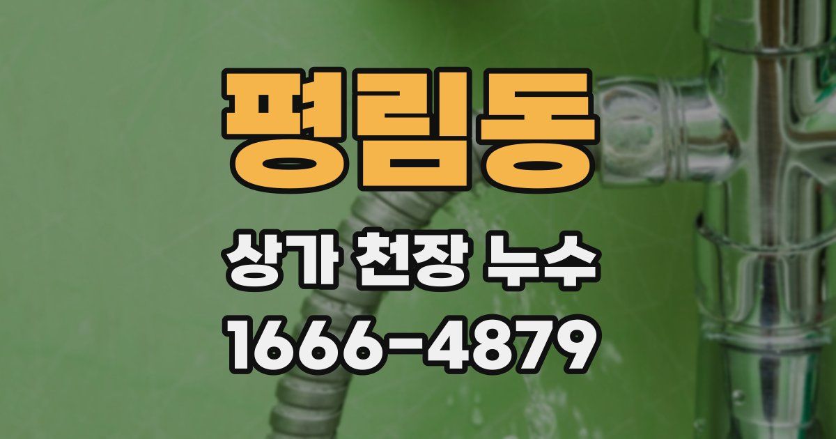 평림동 상가 천장 누수