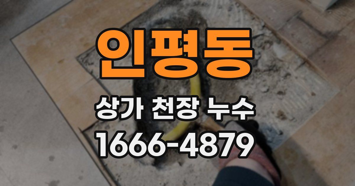 인평동 상가 천장 누수