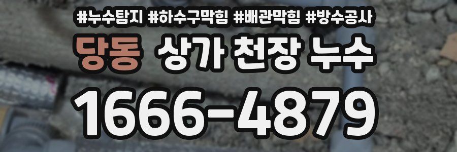 당동 상가 천장 누수