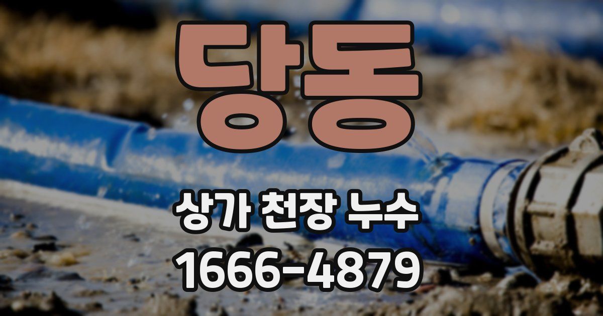 당동 상가 천장 누수