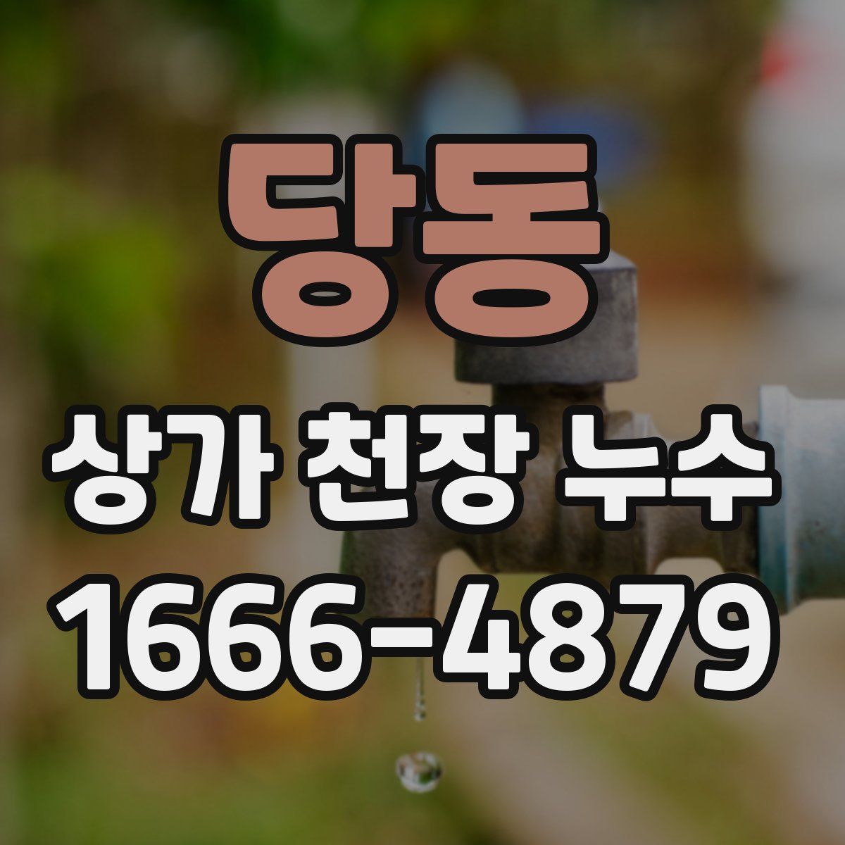 당동 상가 천장 누수