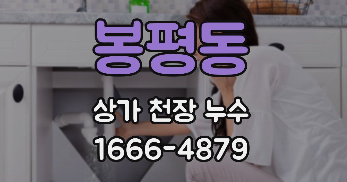 봉평동 상가 천장 누수