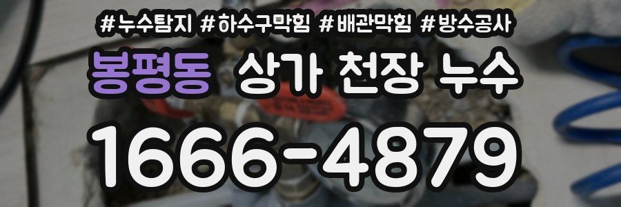 봉평동 상가 천장 누수