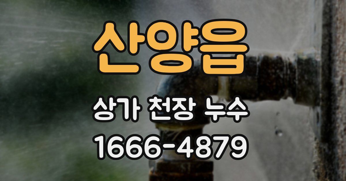 산양읍 상가 천장 누수