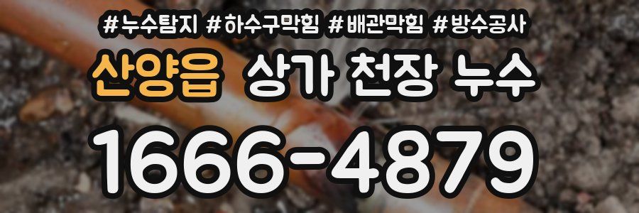 산양읍 상가 천장 누수
