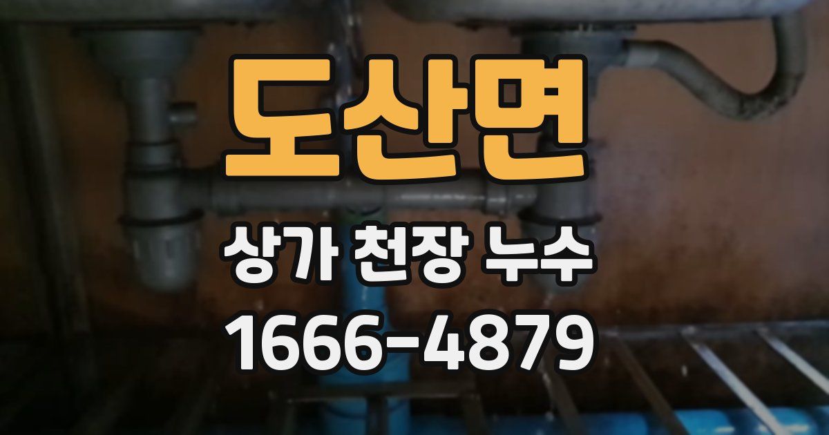 도산면 상가 천장 누수