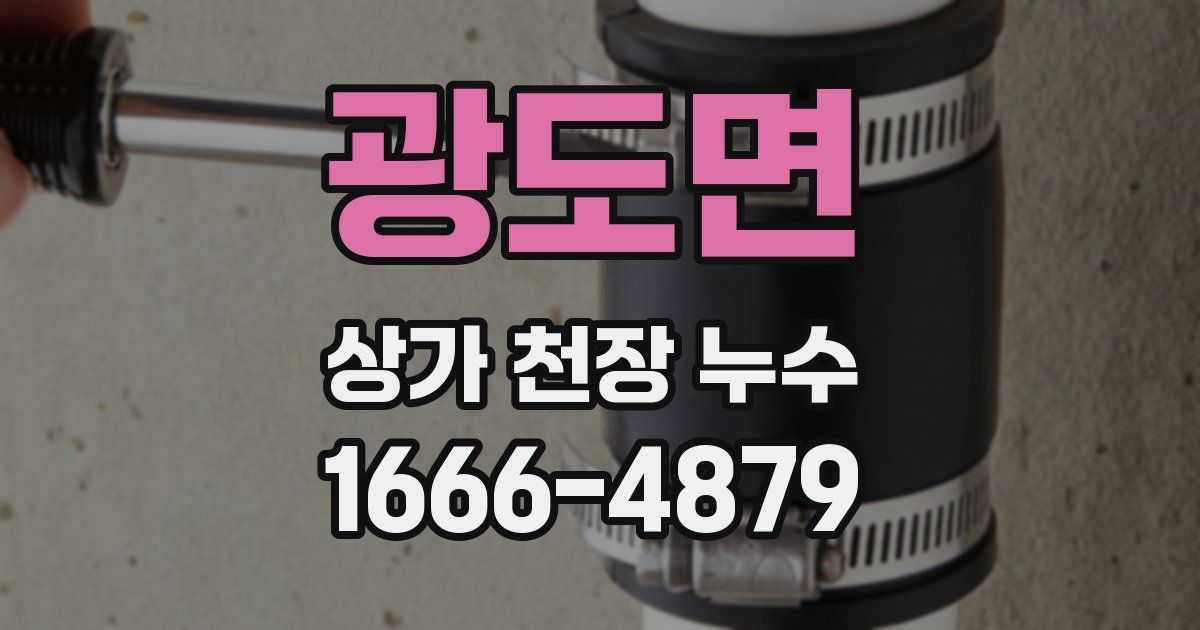 광도면 상가 천장 누수