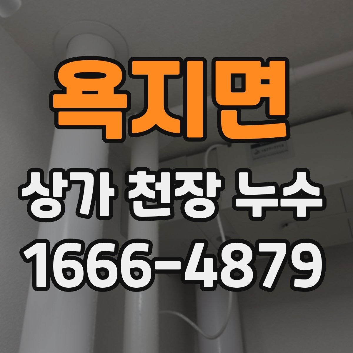 욕지면 상가 천장 누수