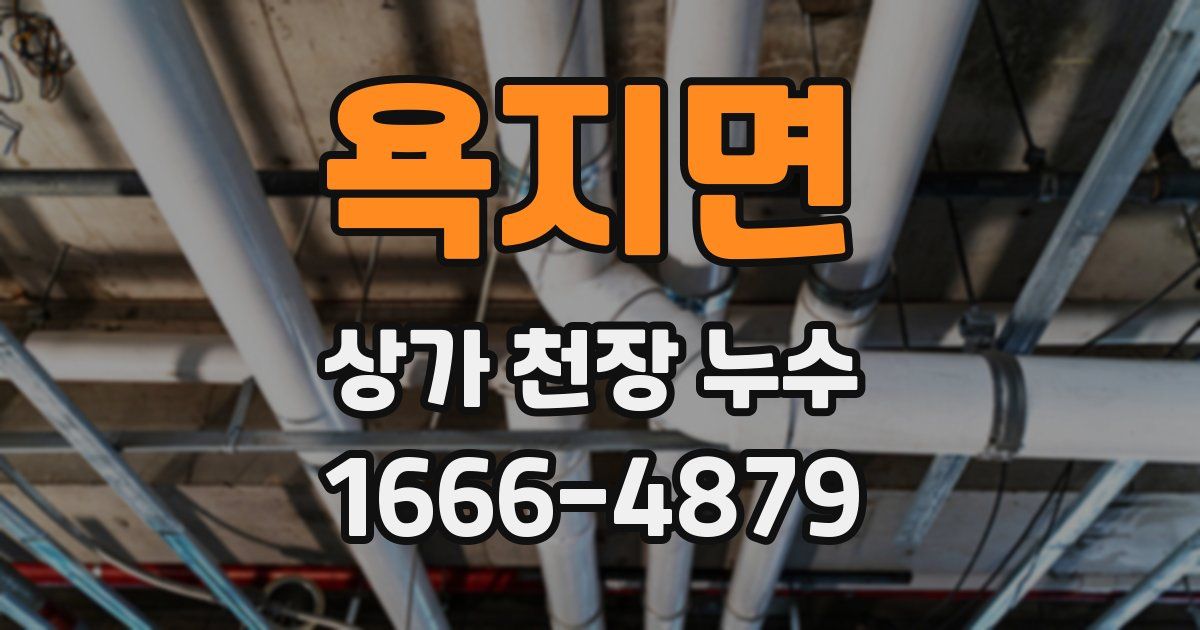 욕지면 상가 천장 누수
