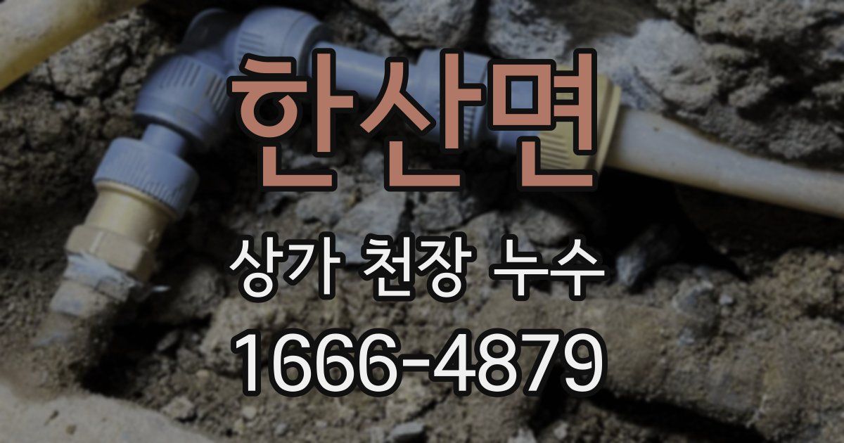 한산면 상가 천장 누수