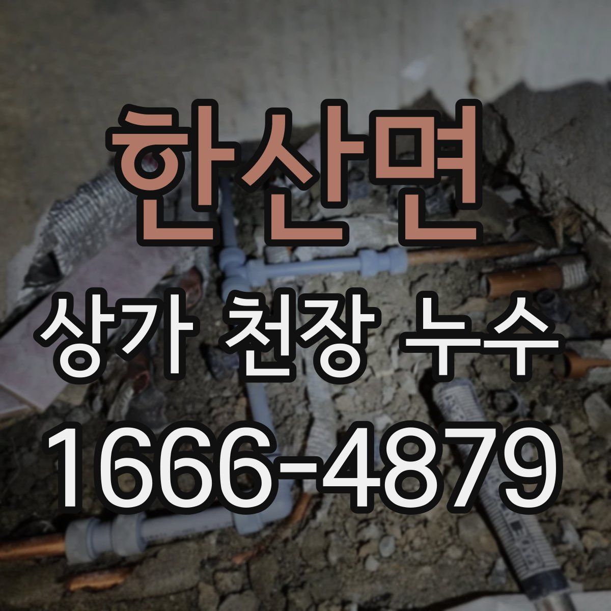 한산면 상가 천장 누수