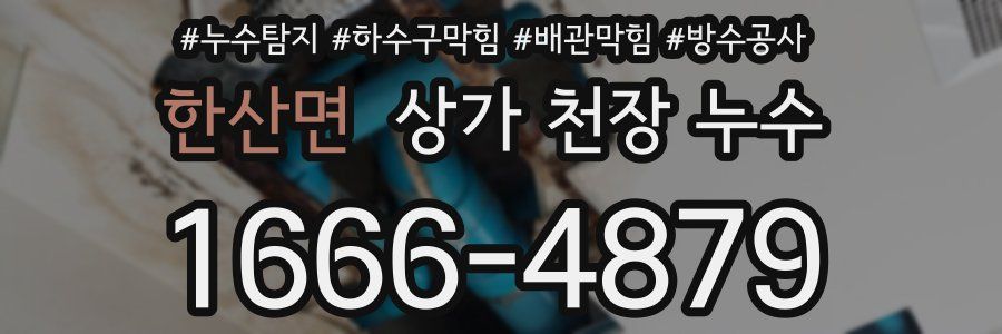 한산면 상가 천장 누수