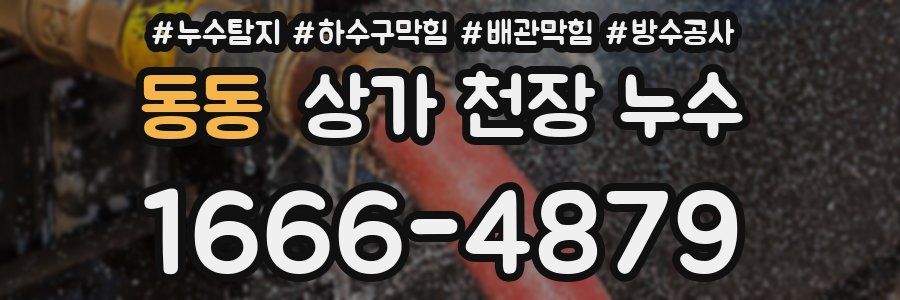 동동 상가 천장 누수
