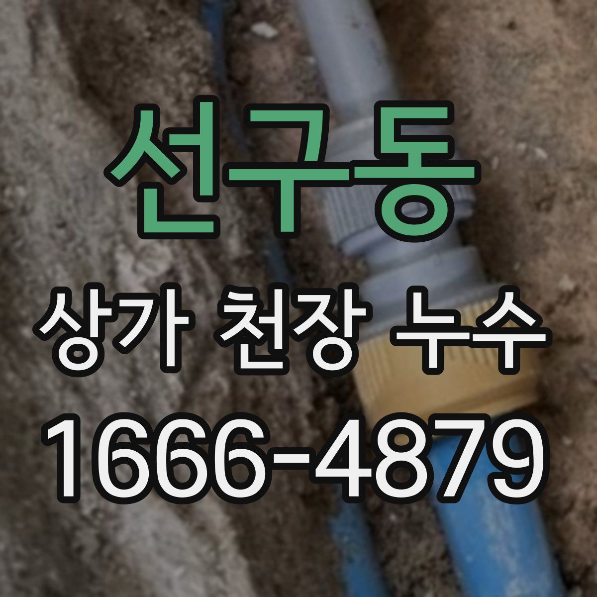 선구동 상가 천장 누수