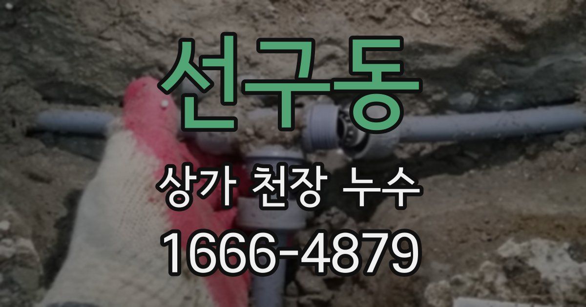 선구동 상가 천장 누수