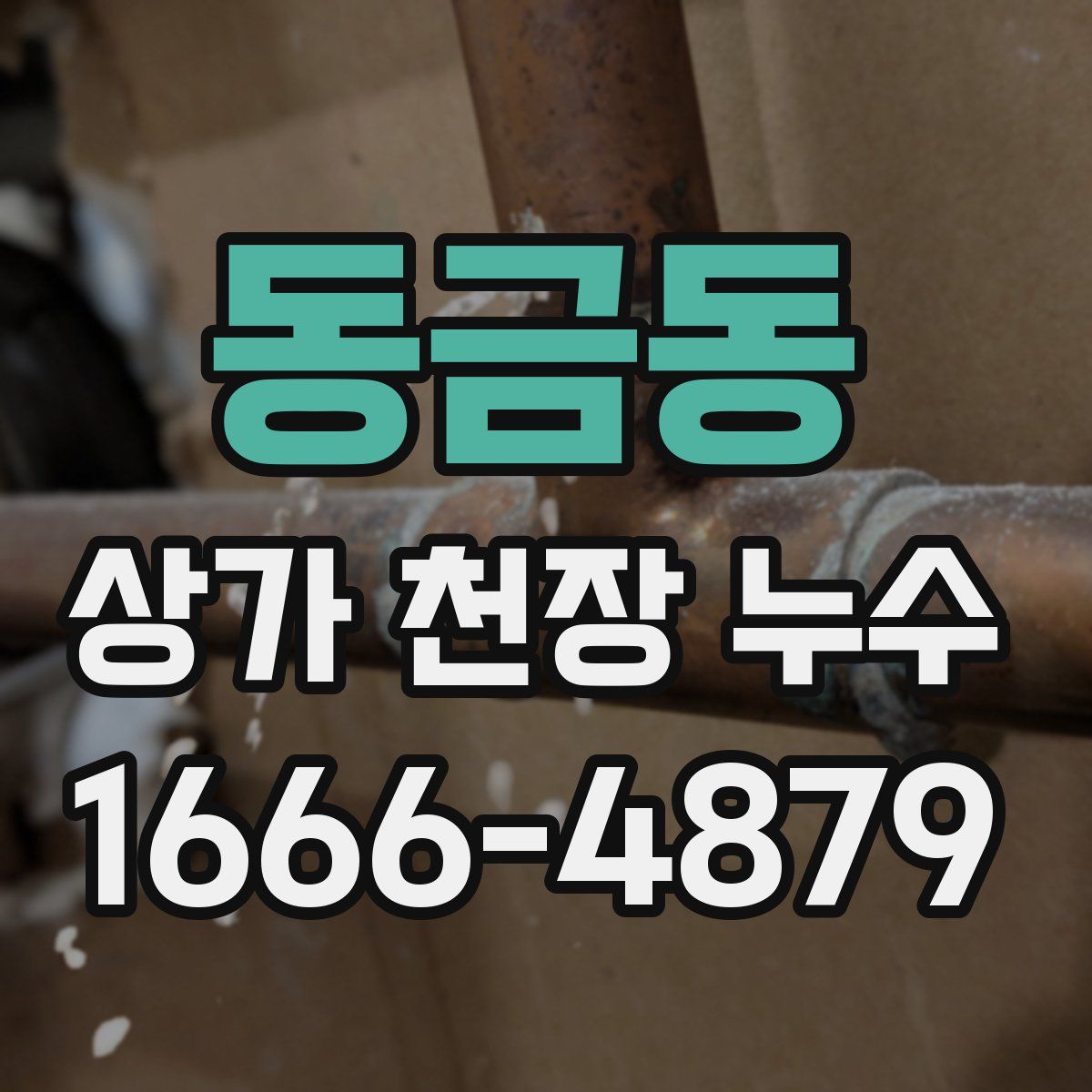 동금동 상가 천장 누수