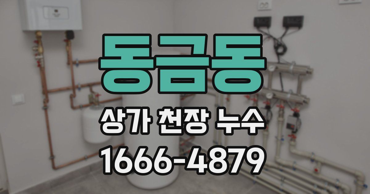 동금동 상가 천장 누수