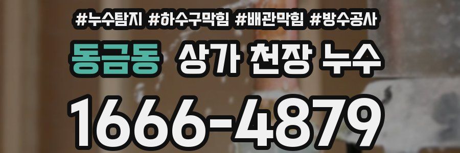 동금동 상가 천장 누수