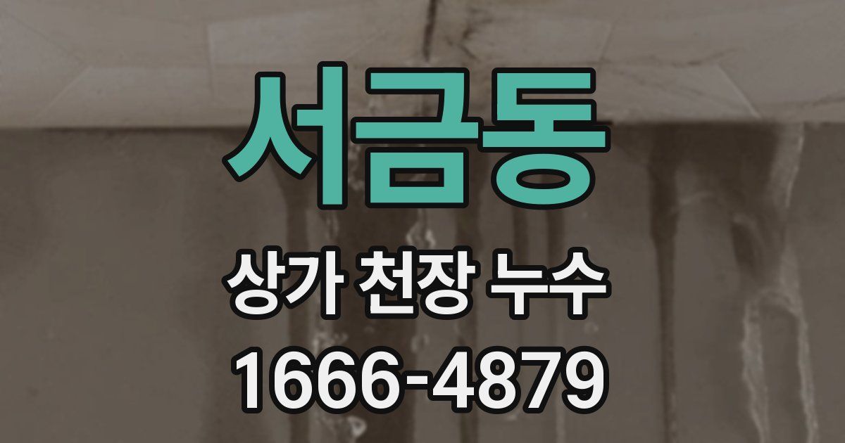 서금동 상가 천장 누수