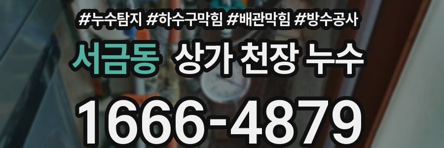 서금동 상가 천장 누수