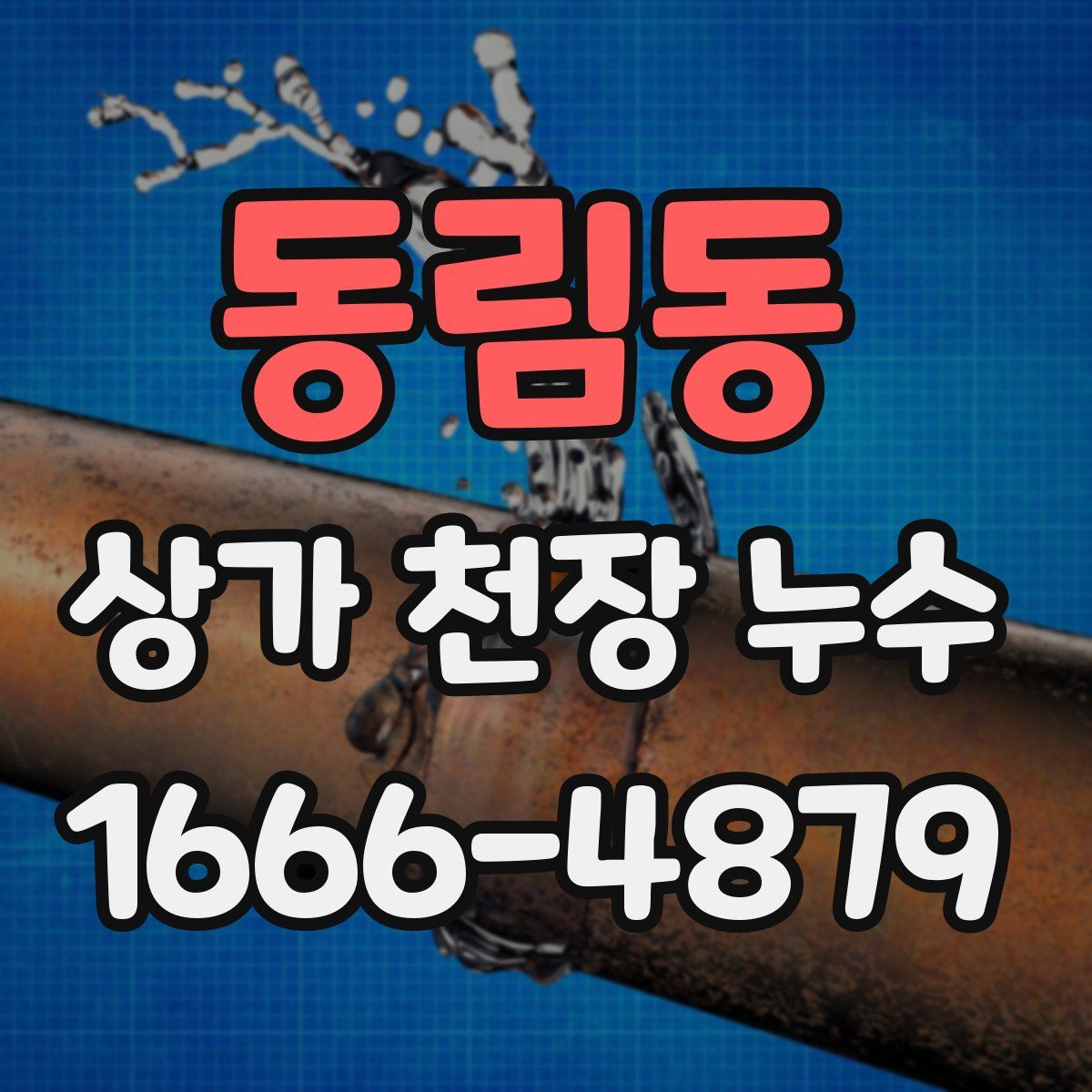 동림동 상가 천장 누수