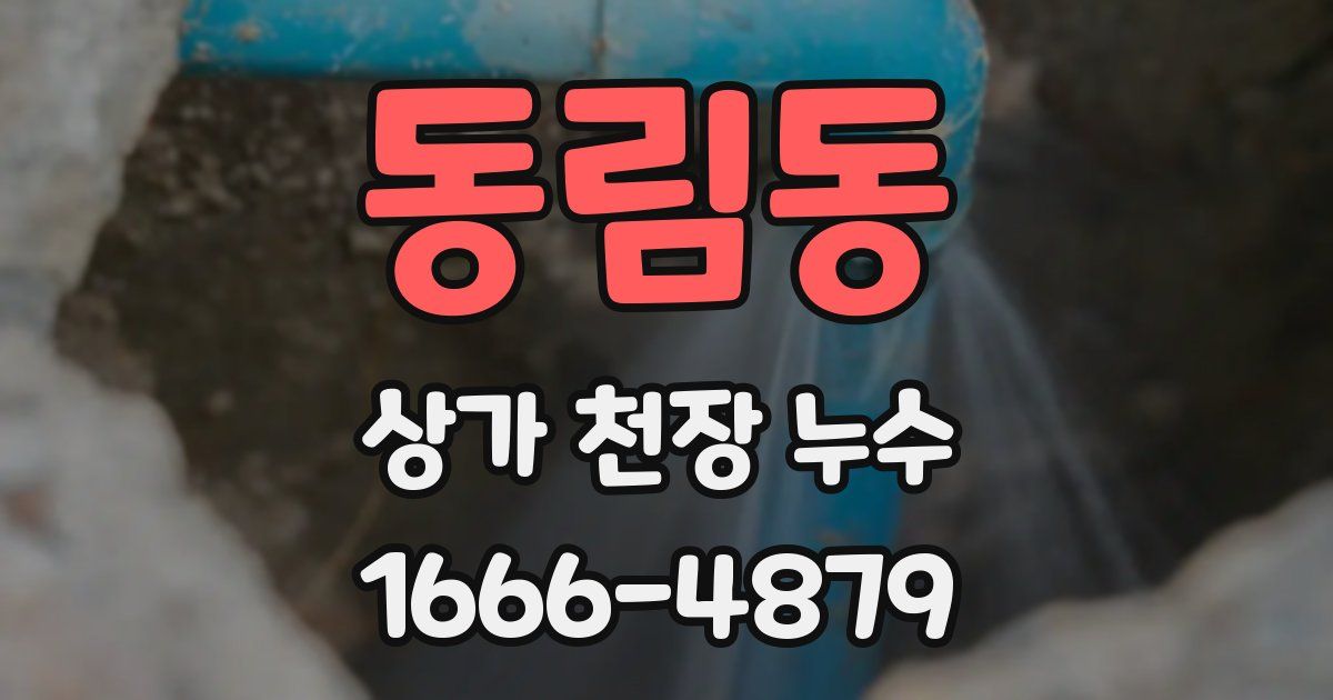 동림동 상가 천장 누수