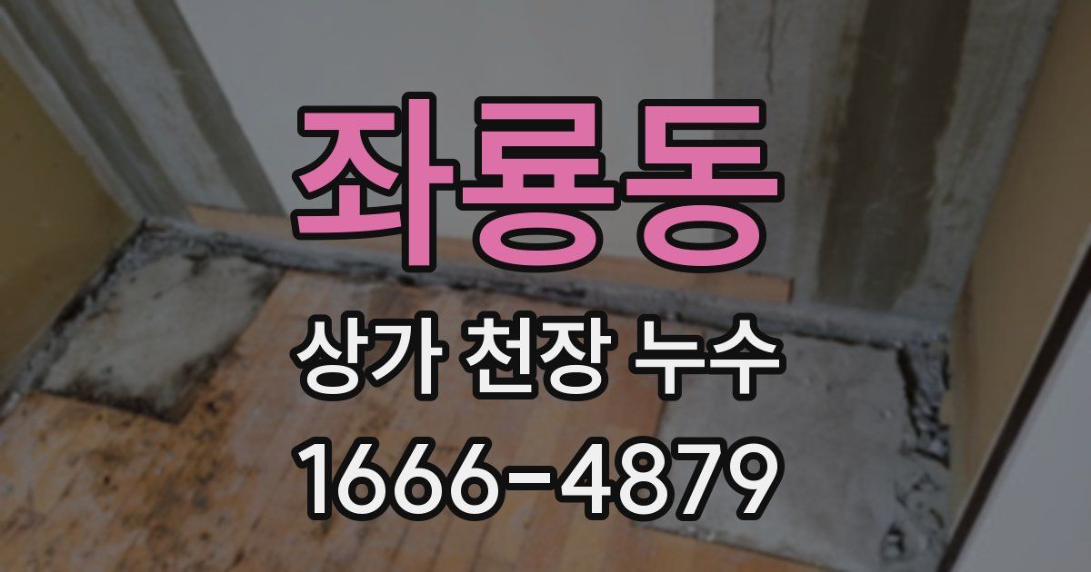좌룡동 상가 천장 누수