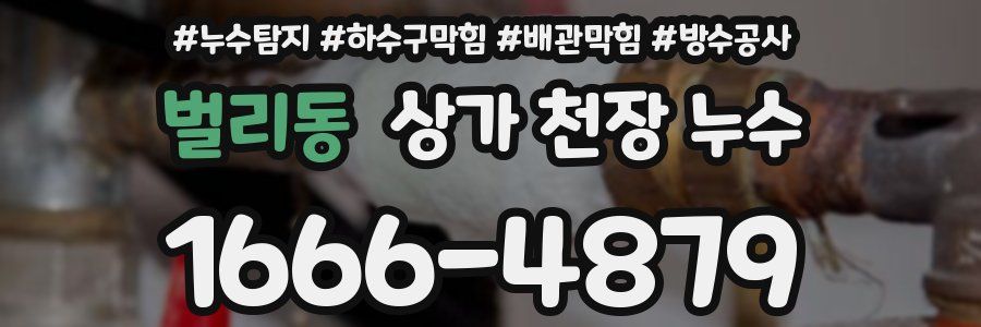벌리동 상가 천장 누수