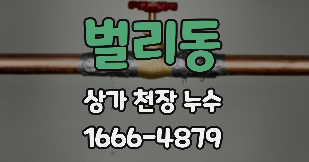 벌리동 상가 천장 누수
