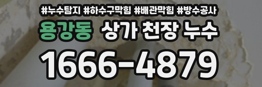 용강동 상가 천장 누수