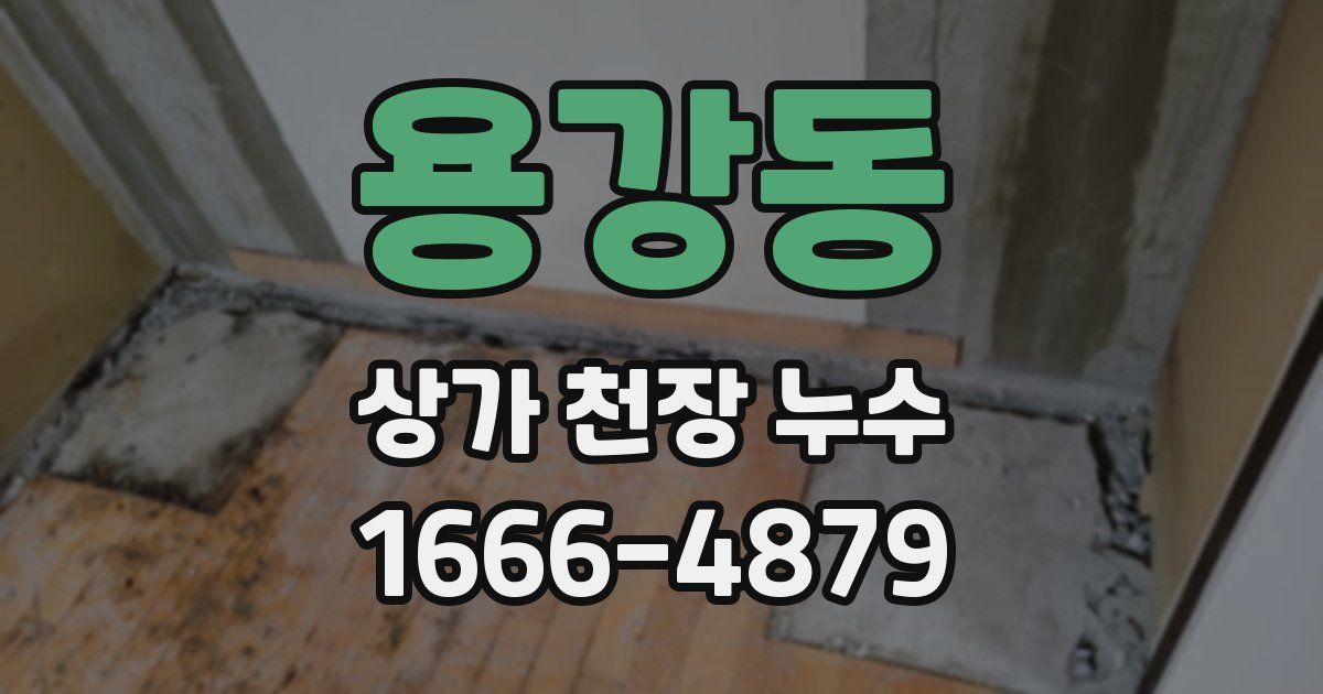 용강동 상가 천장 누수