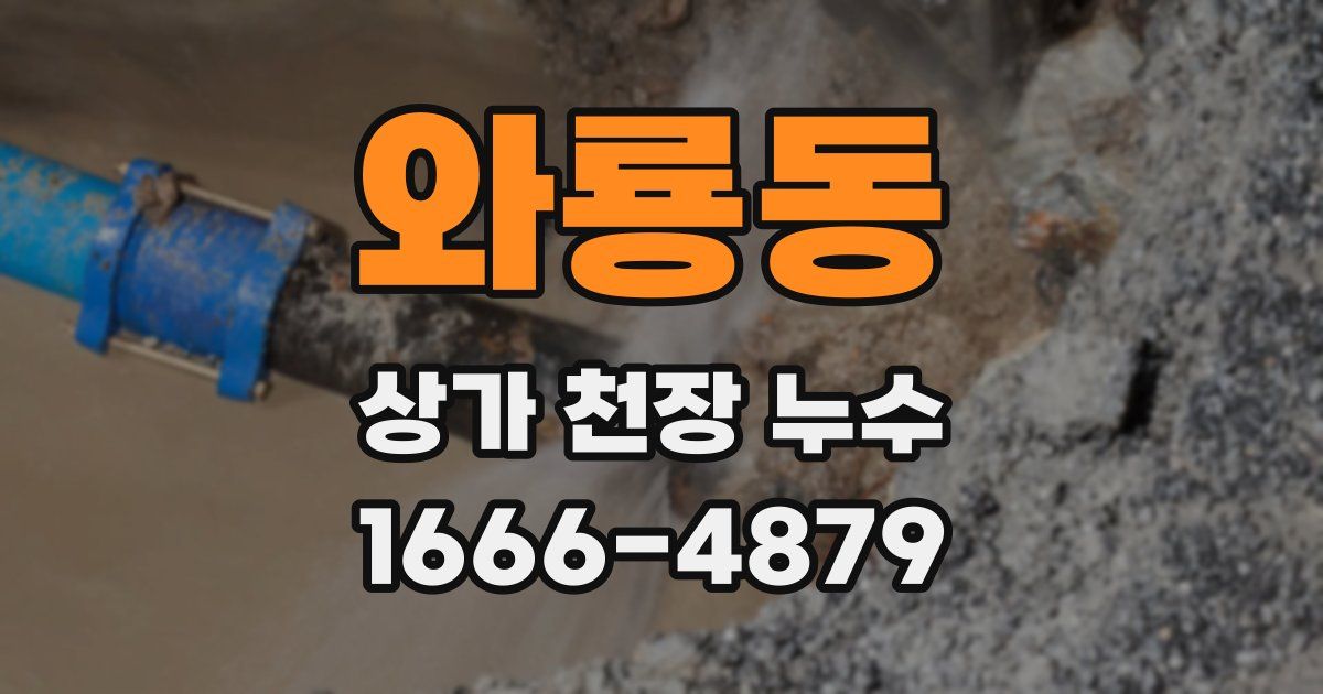 와룡동 상가 천장 누수