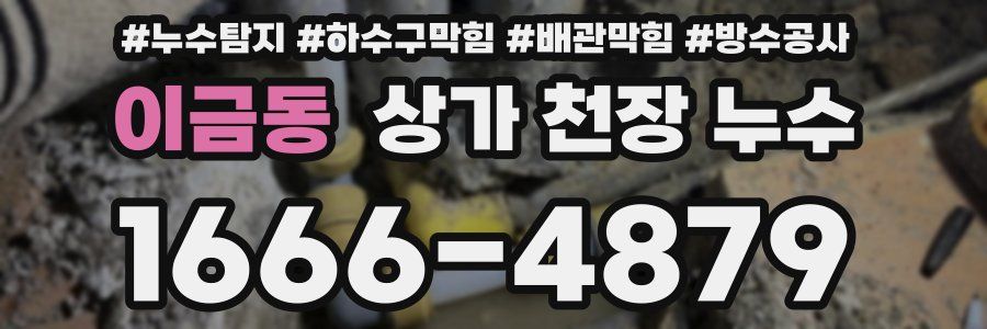이금동 상가 천장 누수