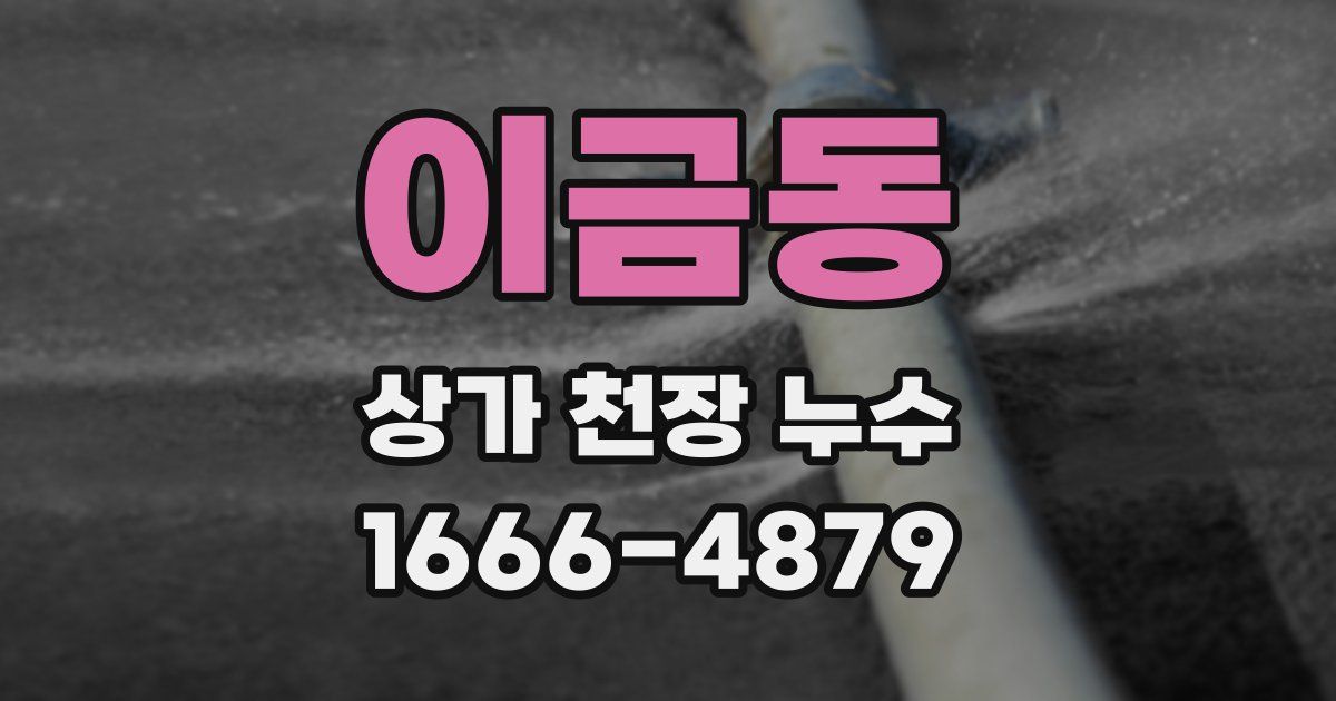이금동 상가 천장 누수
