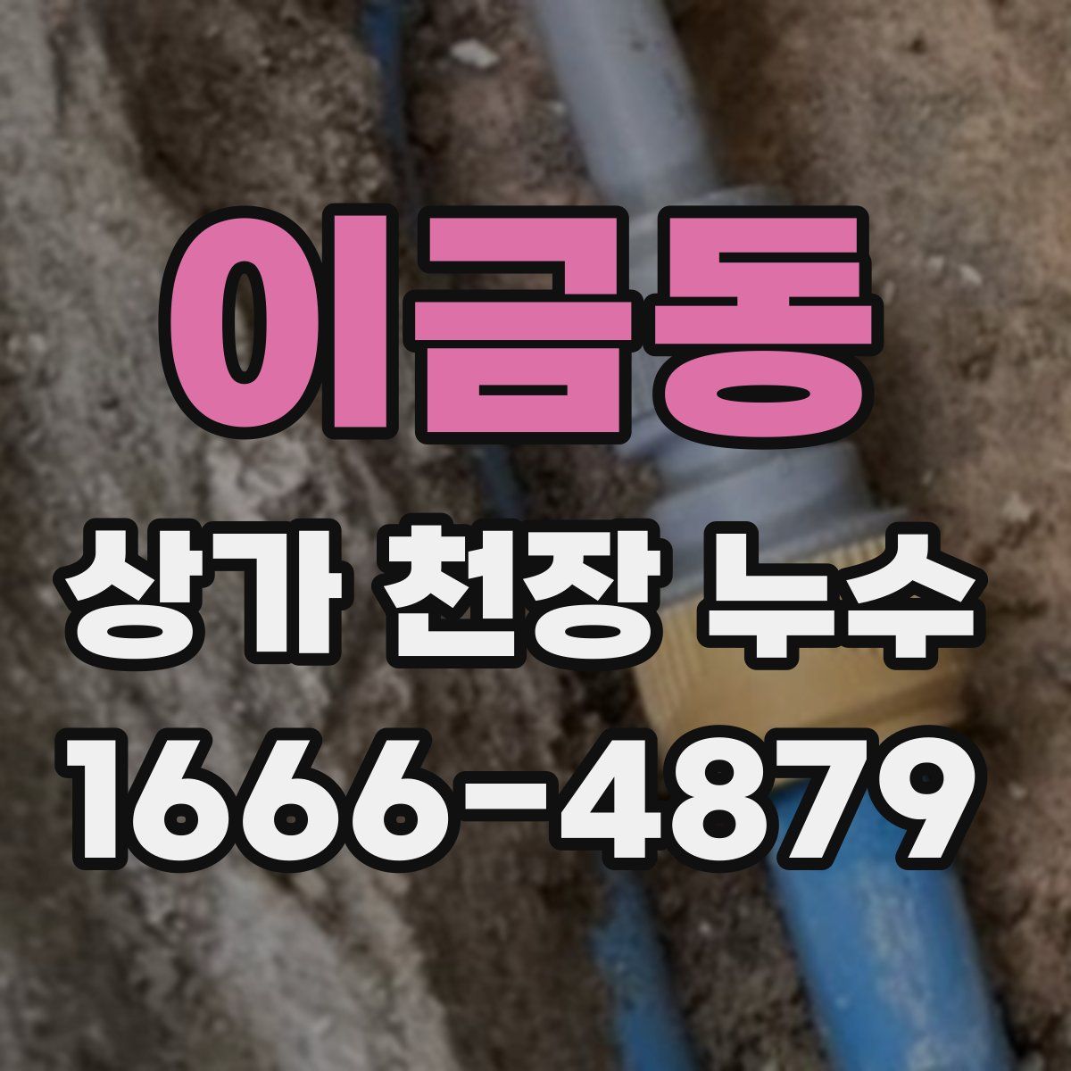 이금동 상가 천장 누수
