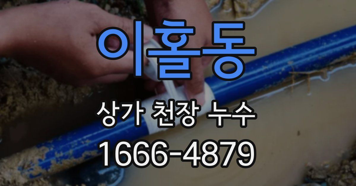 이홀동 상가 천장 누수