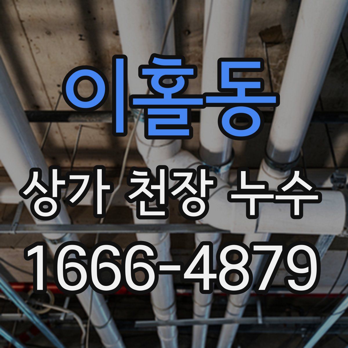 이홀동 상가 천장 누수