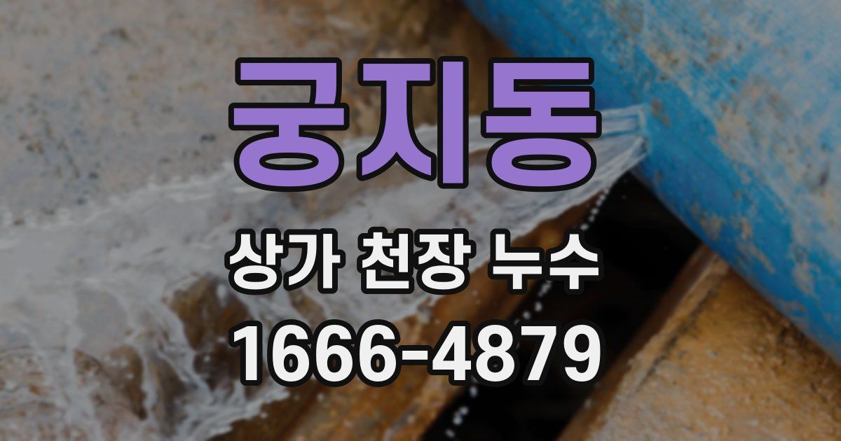 궁지동 상가 천장 누수