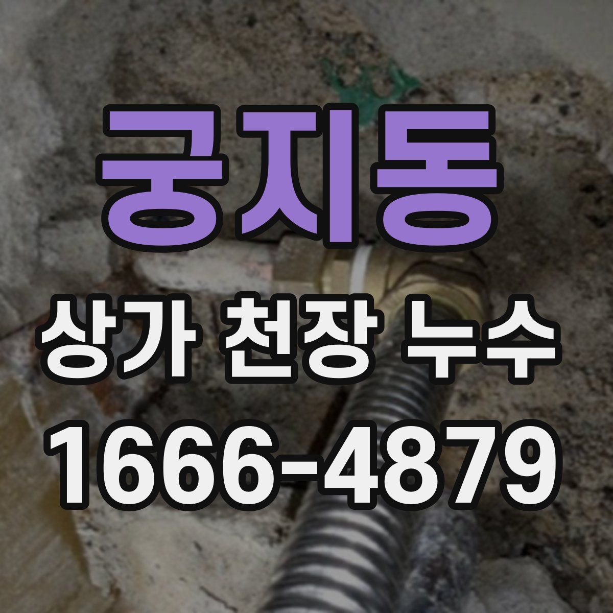 궁지동 상가 천장 누수