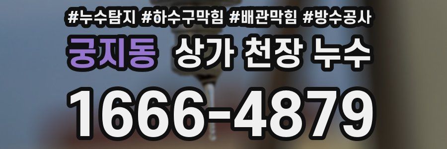 궁지동 상가 천장 누수