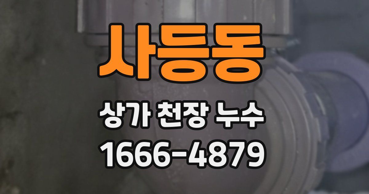 사등동 상가 천장 누수