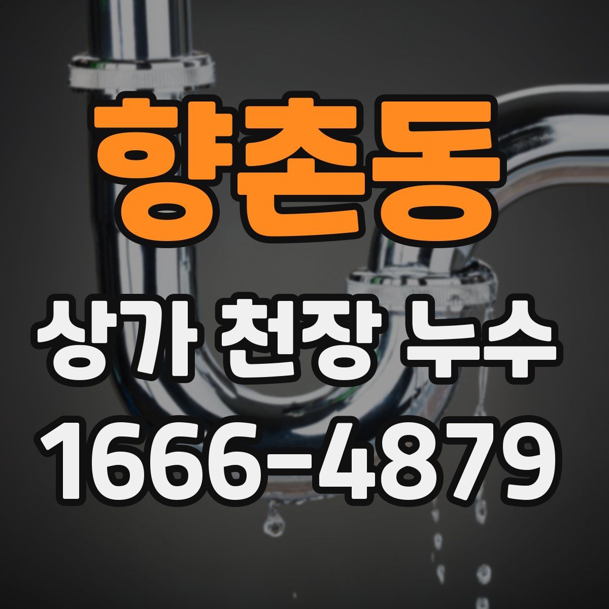 향촌동 상가 천장 누수